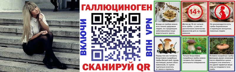 как найти закладки  сайты даркнета клад  Псилоцибиновые грибы Psilocybine cubensis  Канск 