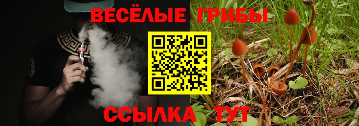 Галлюциногенные грибы ЛСД Канск